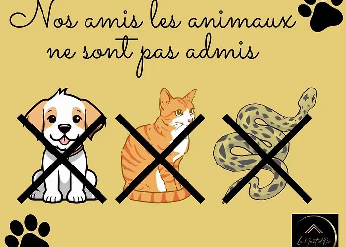 Le Regard Sur La Place Leger Et Raffine * Saint-André-de-la-Marche